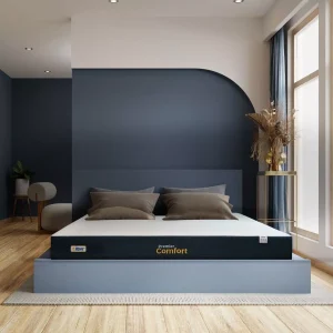 Nệm Foam Cao Su Nhân Tạo Premier Comfort